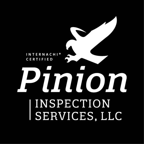 Pinion Inspection Services, LLC Logo