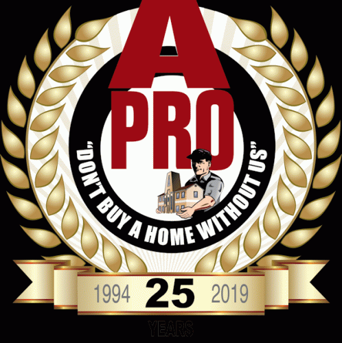 A-Pro Inspection Services Logo
