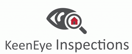 KeenEye Inspections Logo