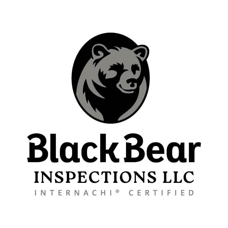 Black Bear Inspection LLC Logo