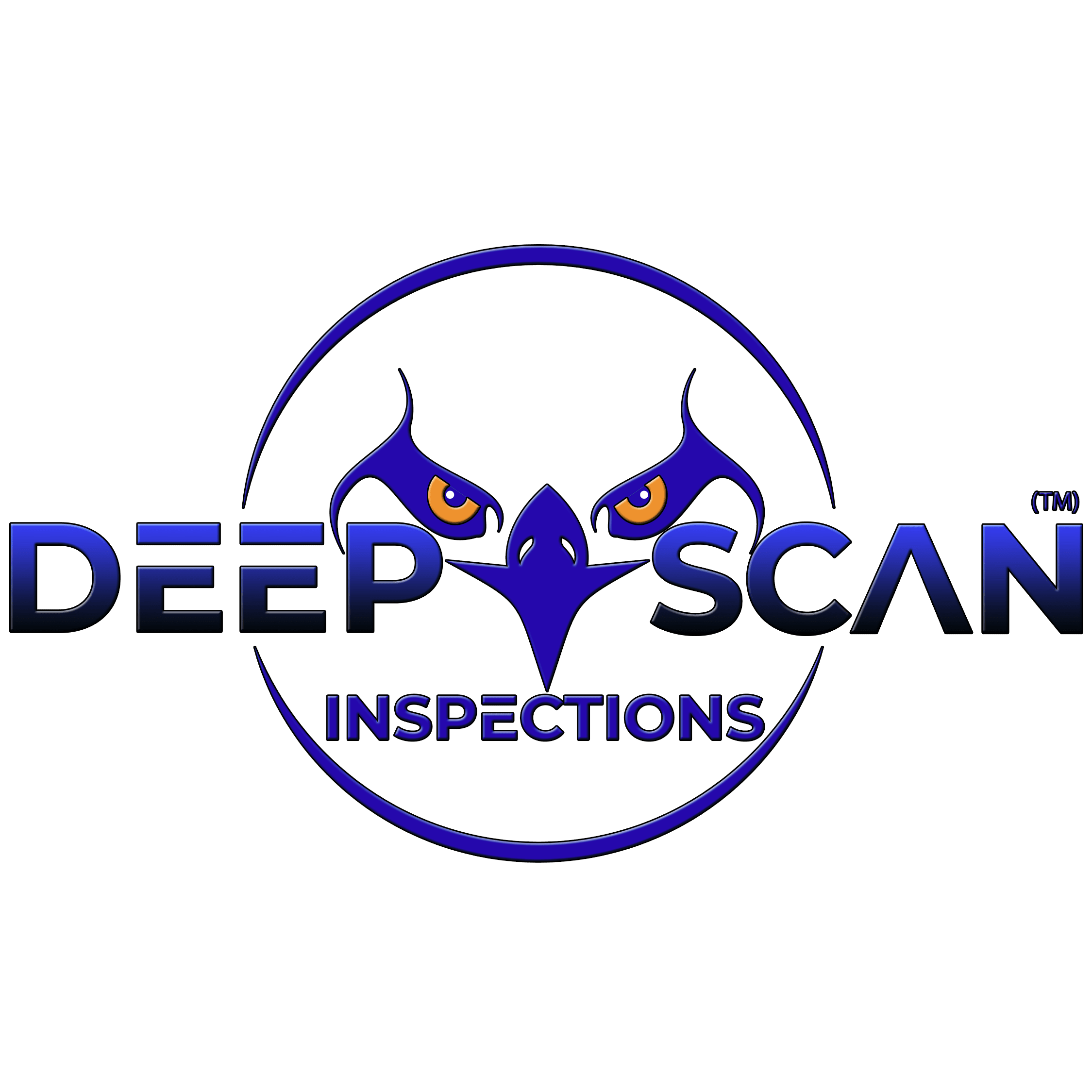 Deep Scan Inspections Logo