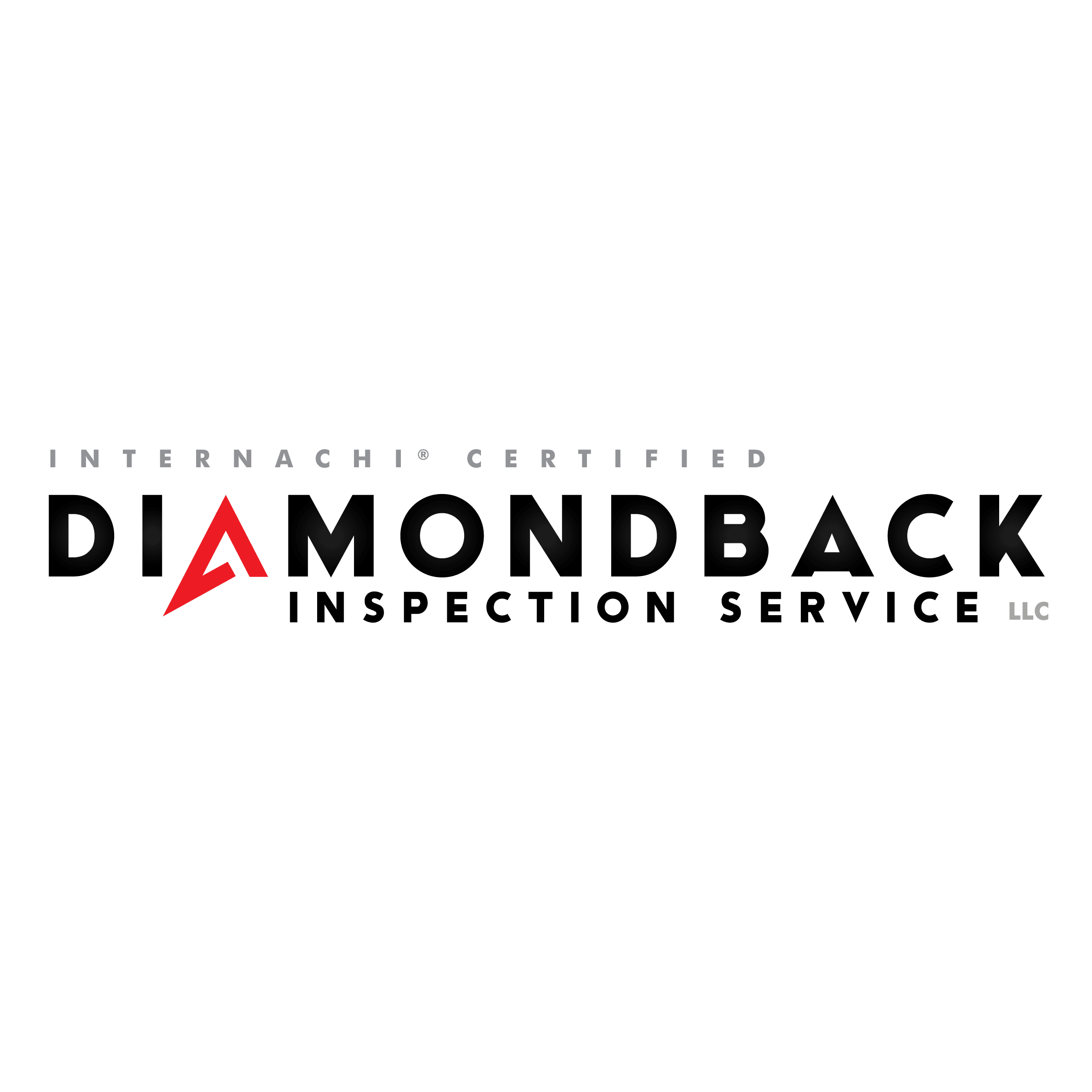 Diamondback Inspection Service LLC Logo