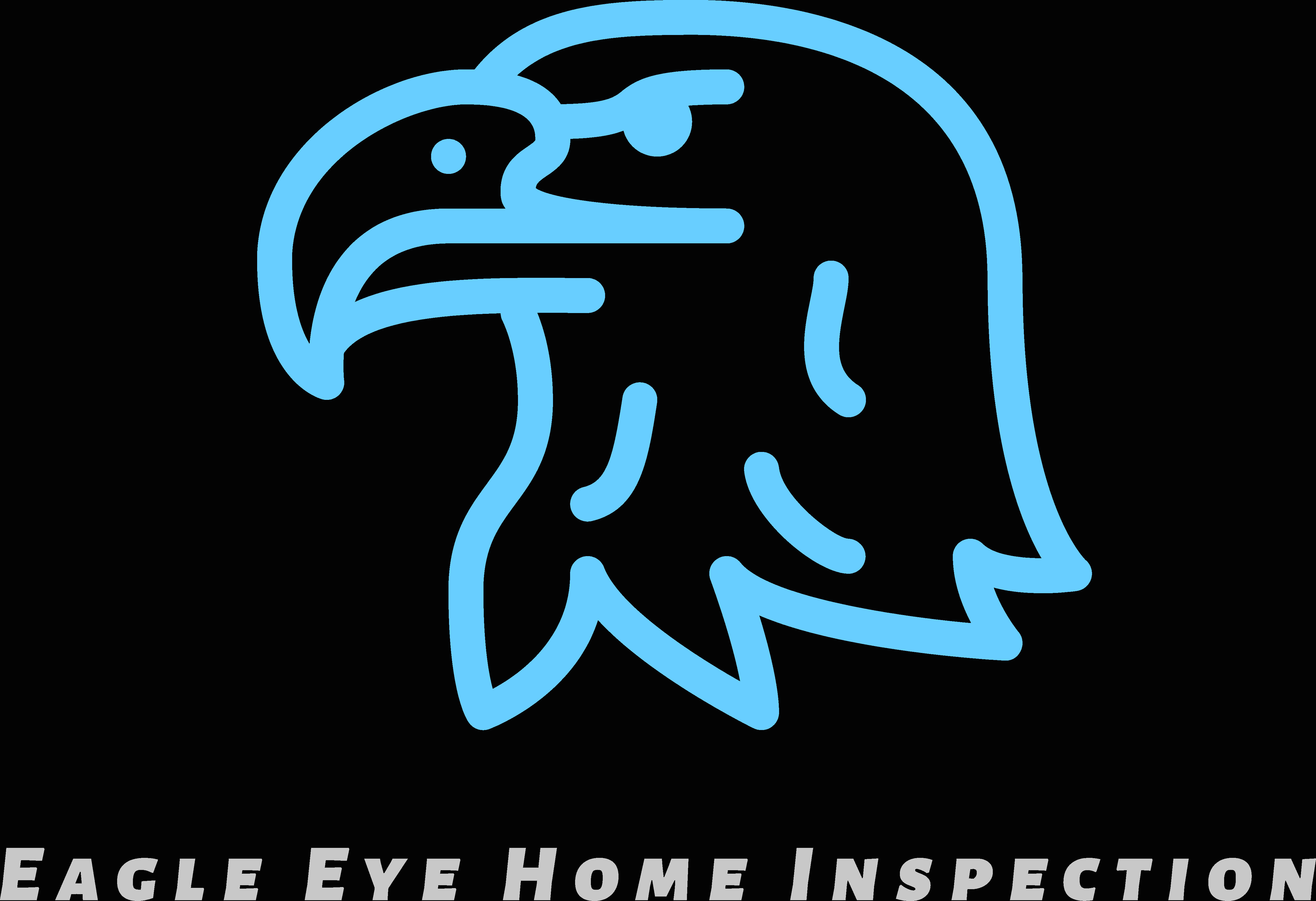 Eagle Eye Home Inspection Logo