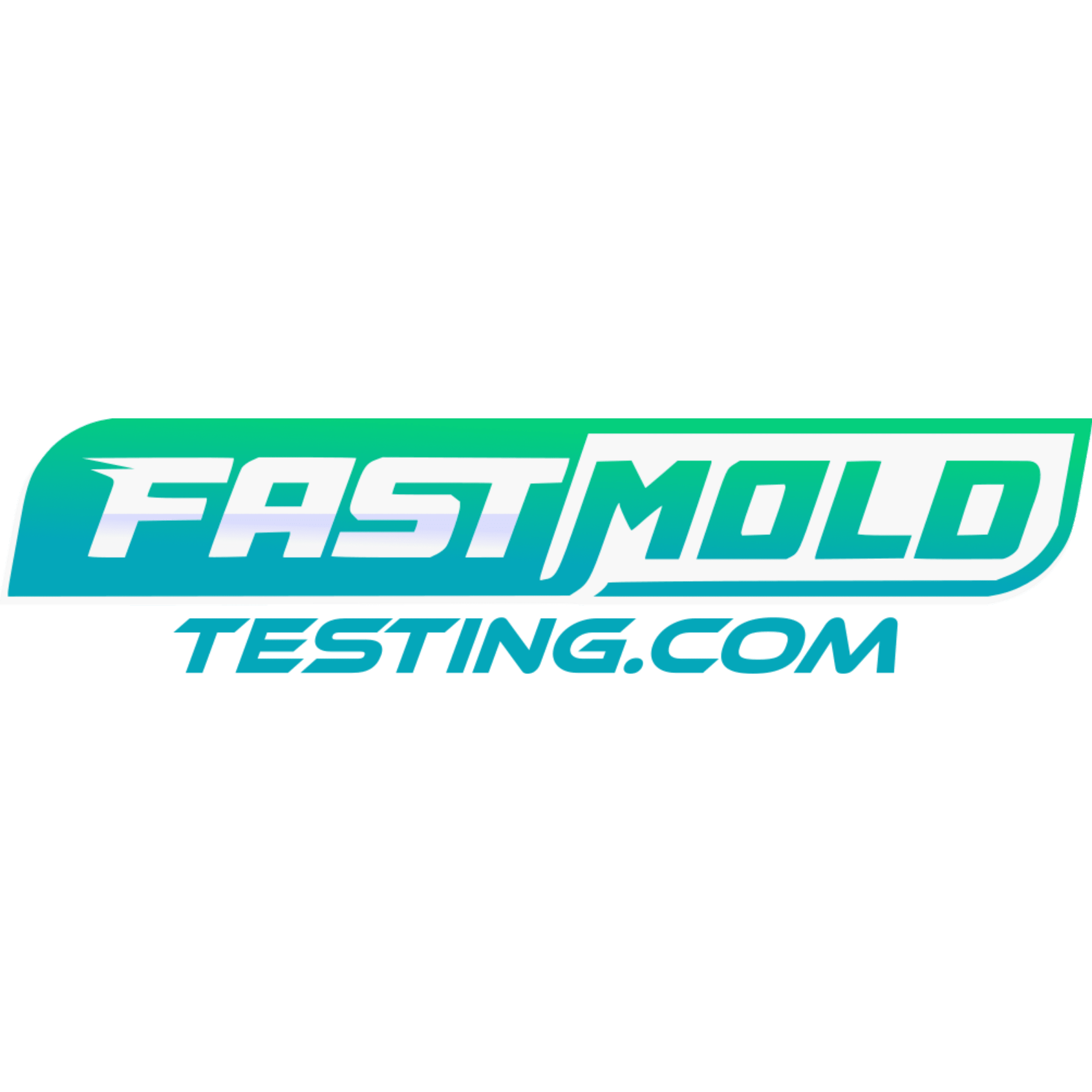 Fast Mold Testing, Inc. Logo