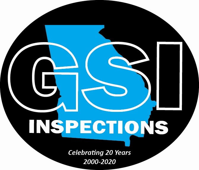 Georgia State Inspections Logo