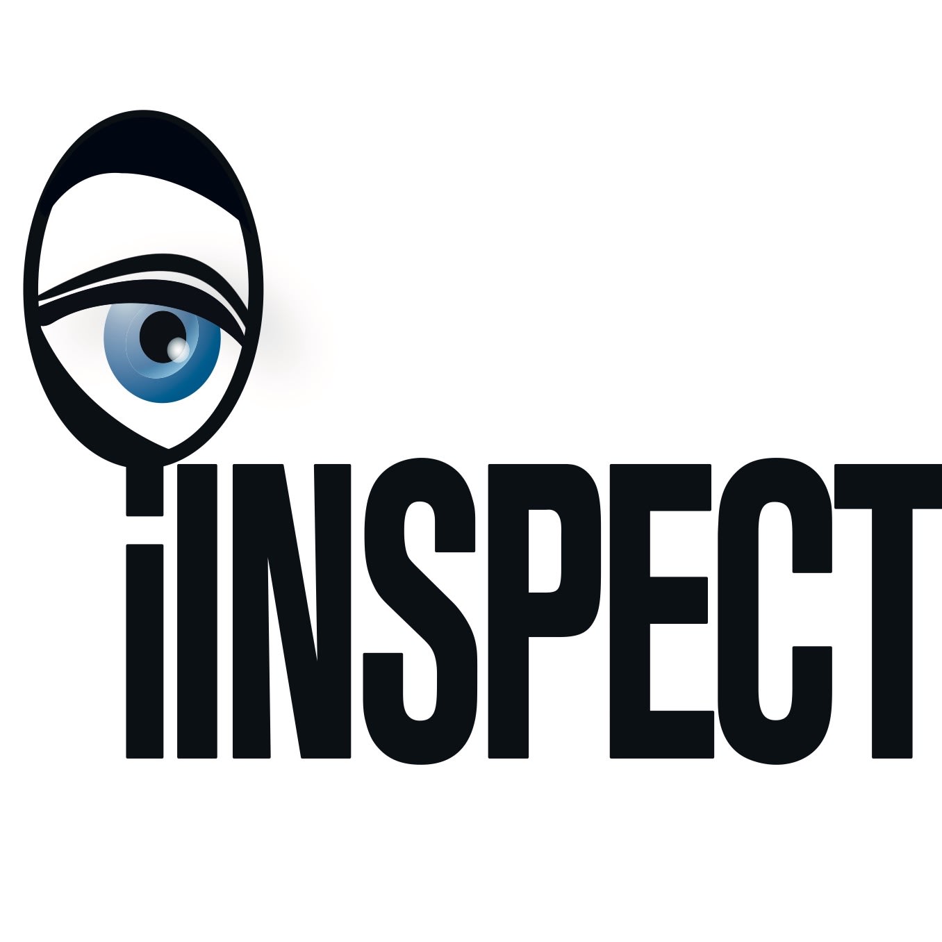 iInspect, LLC Logo