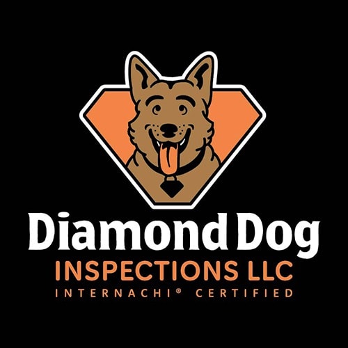 Jason Kane/Diamond Dog Inspections LLC Logo