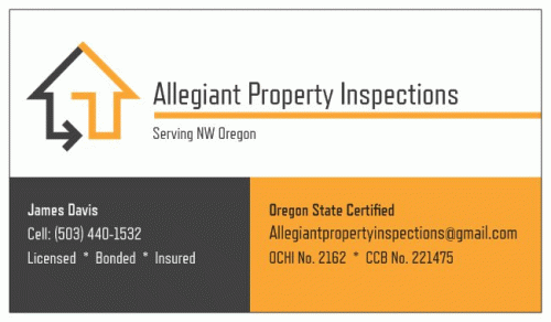 Allegiant Property Inspections Logo