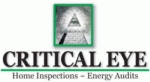 Critical Eye Logo