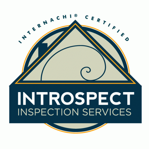 Introspect LLC Logo