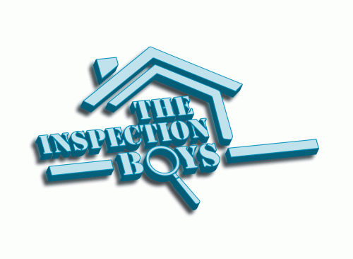 The Inspection Boys Logo