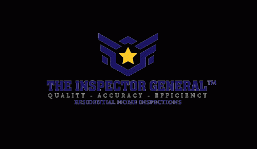 The Inspector General Logo