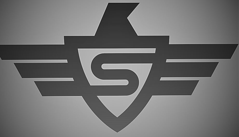 Stark Inspection Group LLC Logo