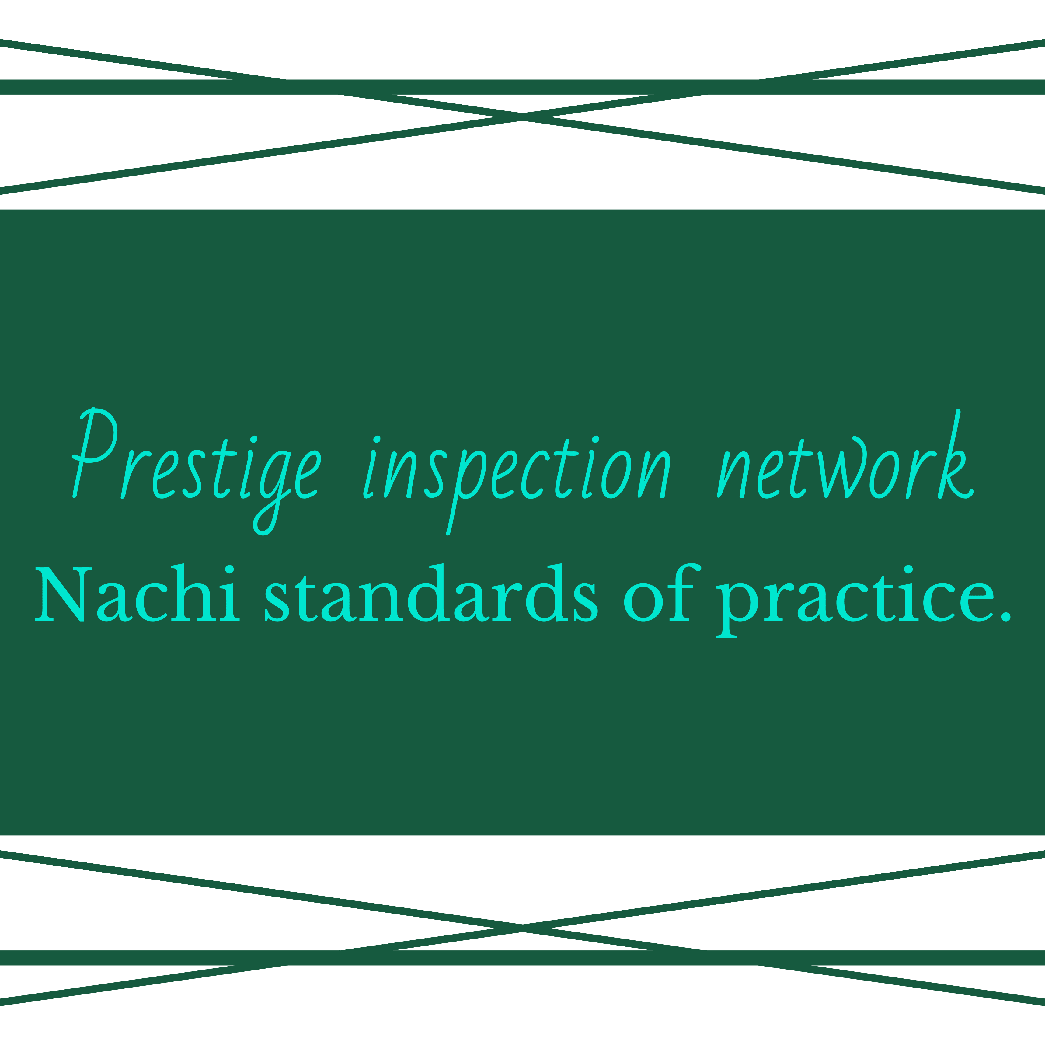 Travis Stebbins Alma, MI Certified Home Inspector InterNACHI®
