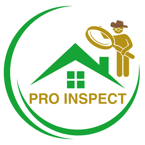Pro Inspect Home Inspections (Pty) Ltd Logo