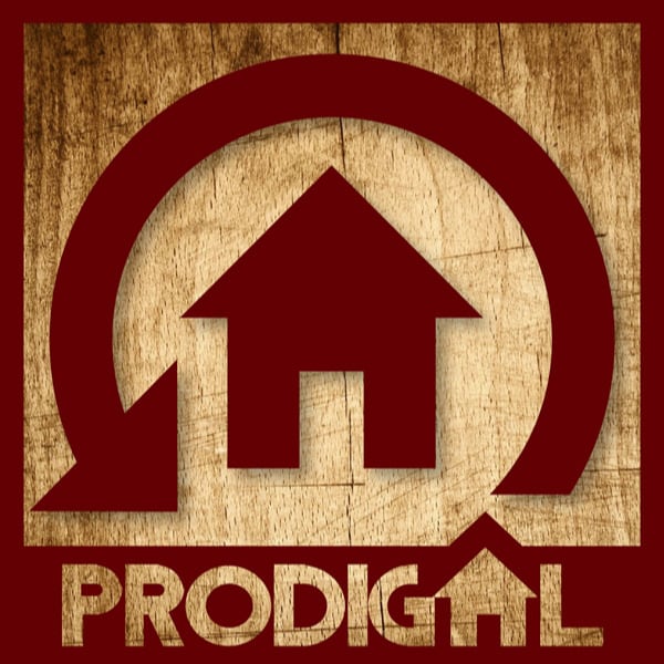 PRODIGAL HOMES Inspection + Consulting Logo