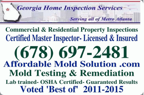 Georgia Home Inspection Services Logo