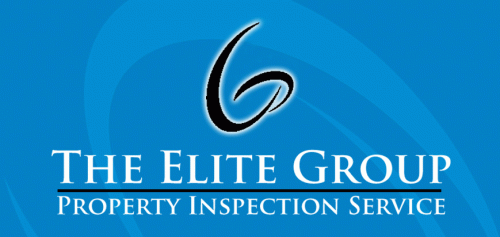 The Elite Group Logo