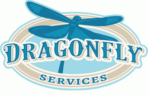 Dragonfly Services, LLC Logo