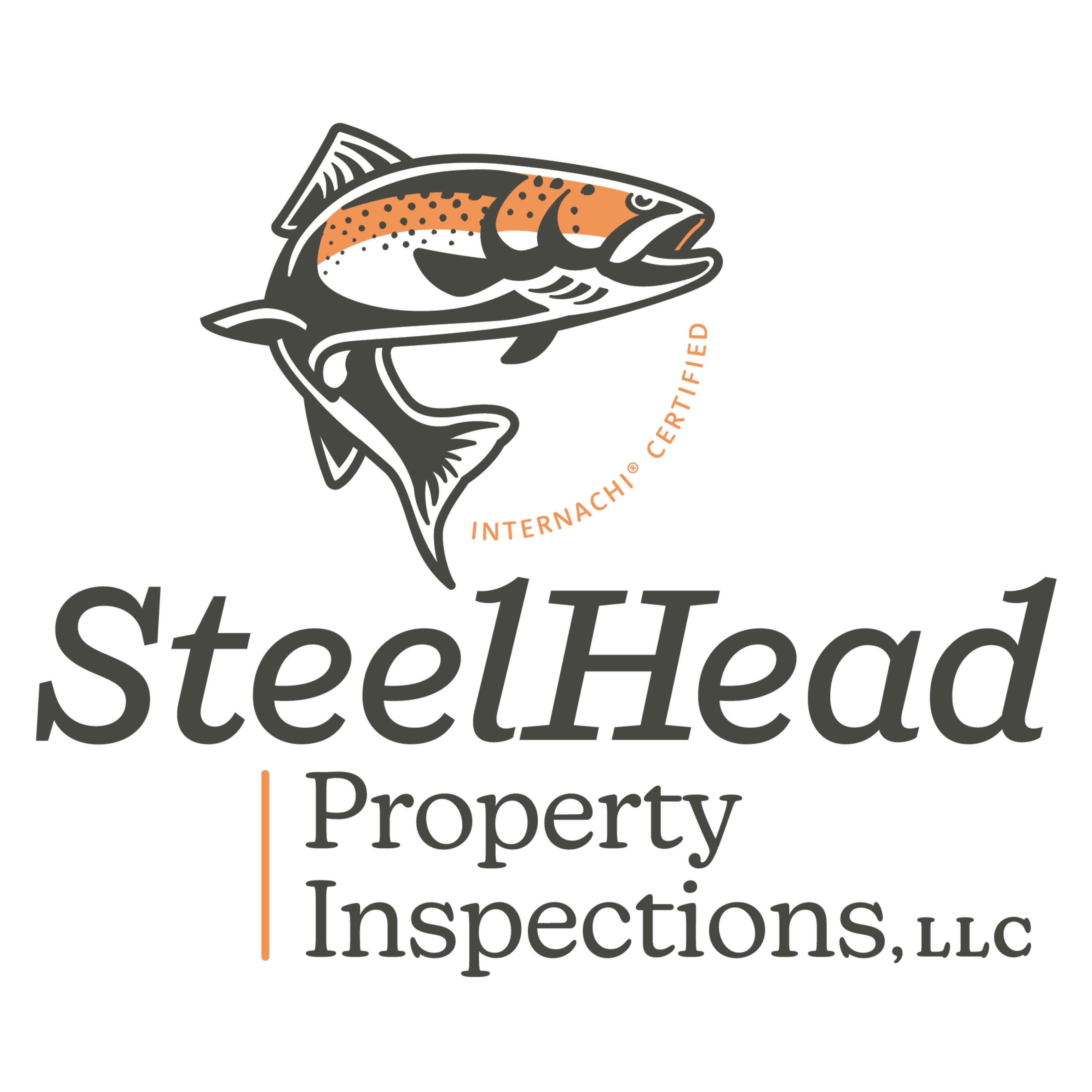 SteelHead Property Inspections, LLC Logo