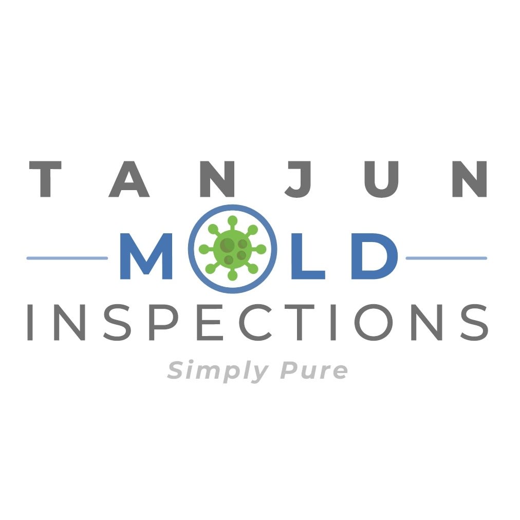 TANJUN MOLD INSPECTIONS Logo