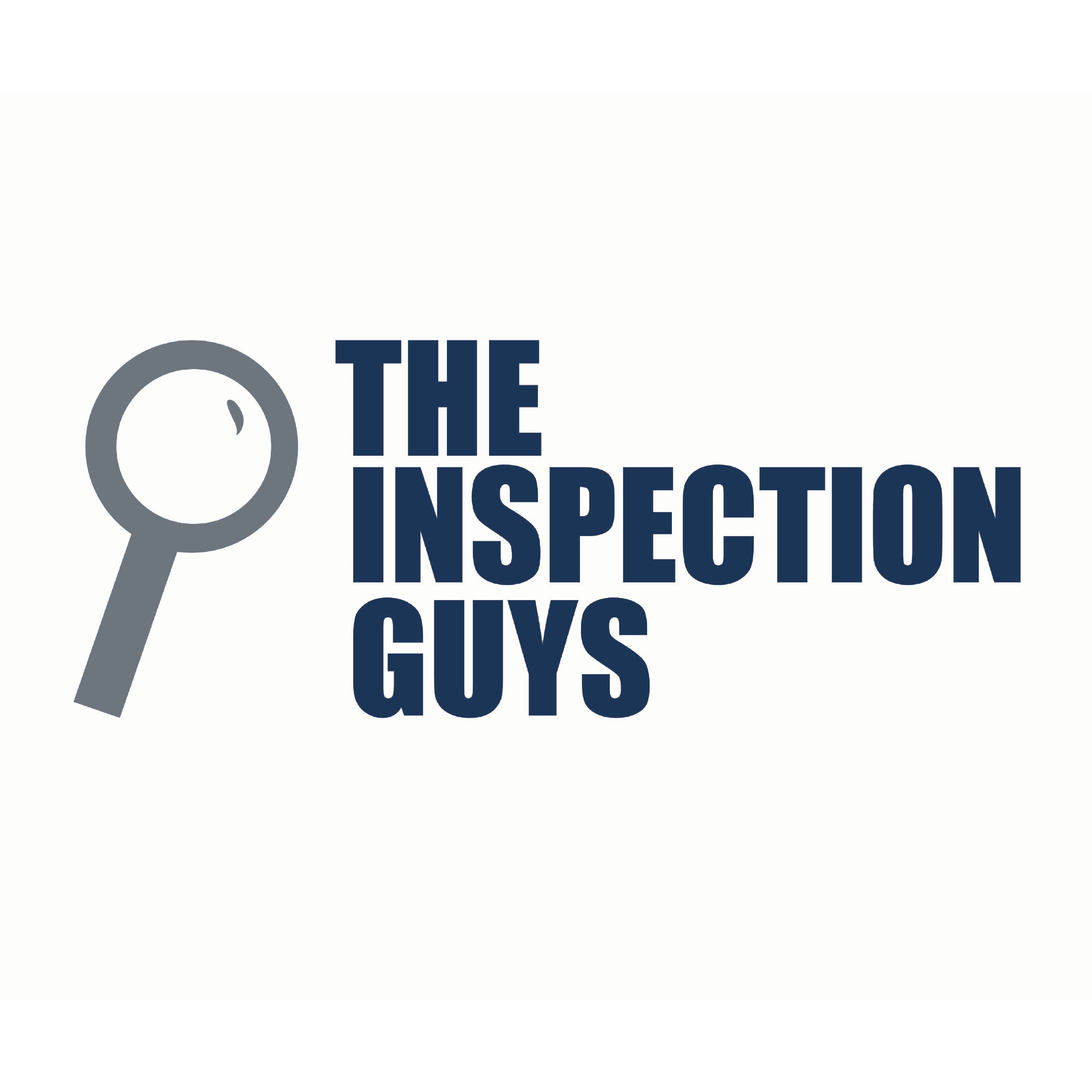 The Inspection Guys Logo