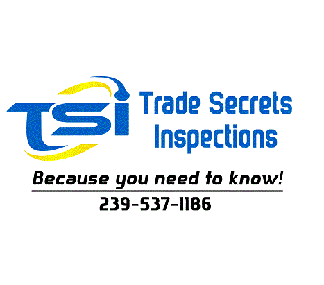 Trade Secrets Inspections Logo