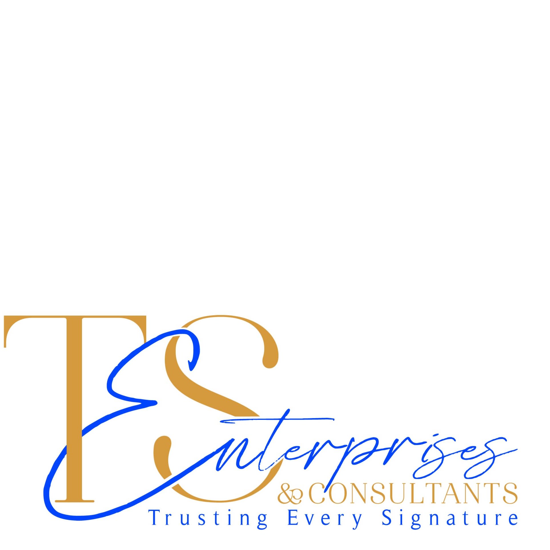 TES Enterprises & Consultants LLC/Trusting Every Signature Home Inspection Logo