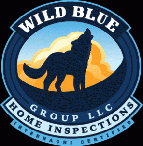 Wild Blue Group LLC Logo