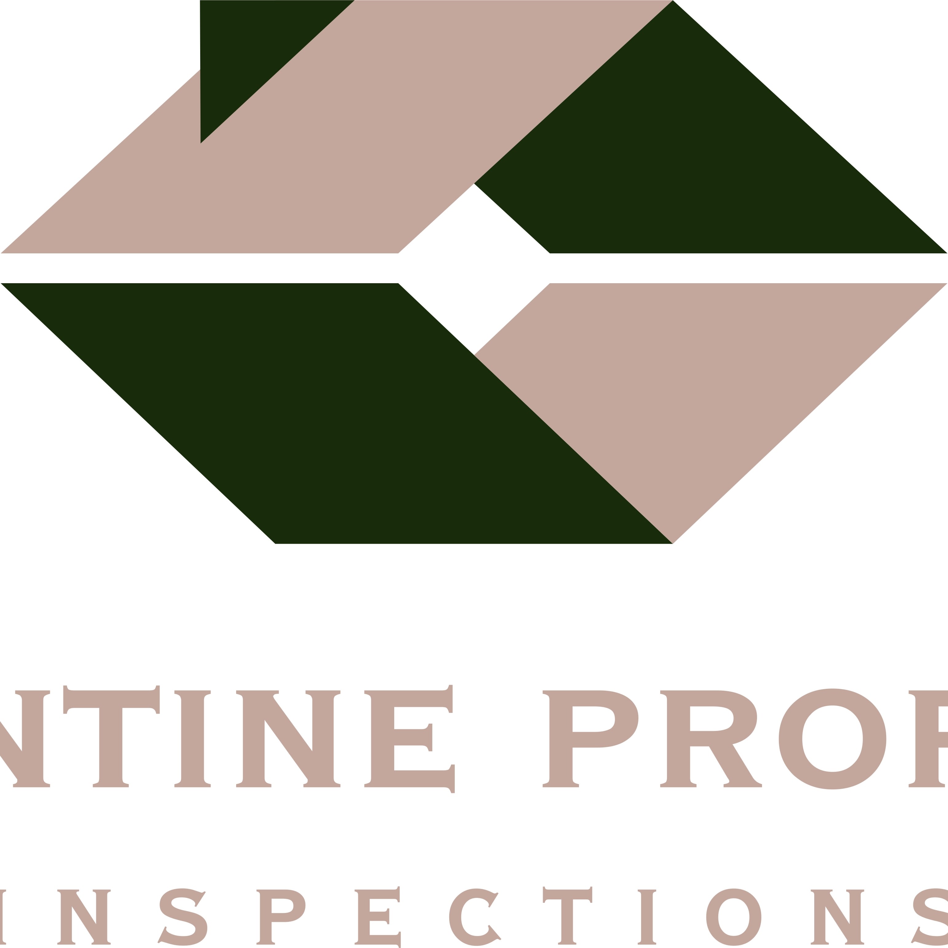 Valentine Property Inspections LLC Logo