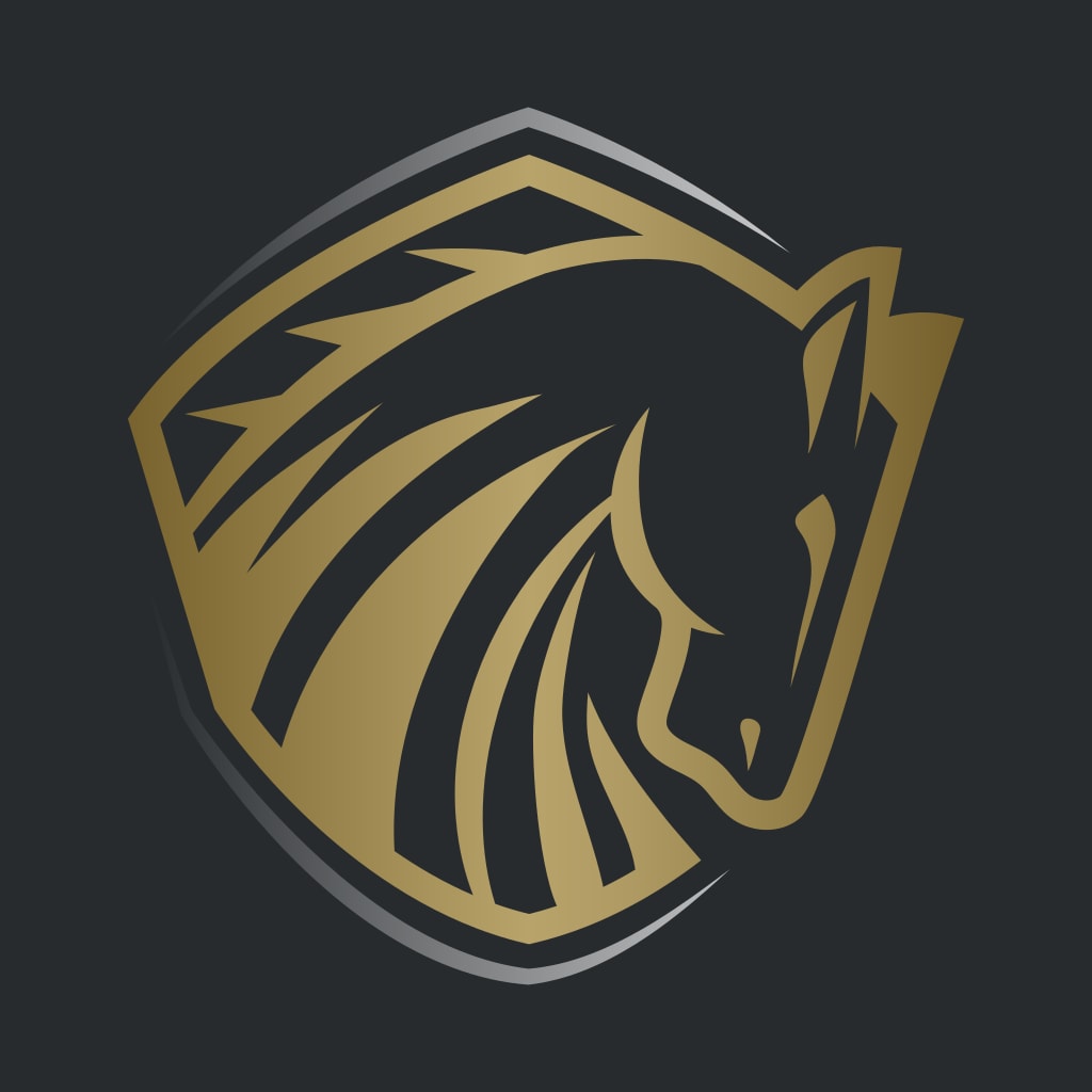 Valor Home Inspections Logo