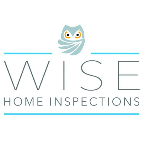 Wise Inspections Logo