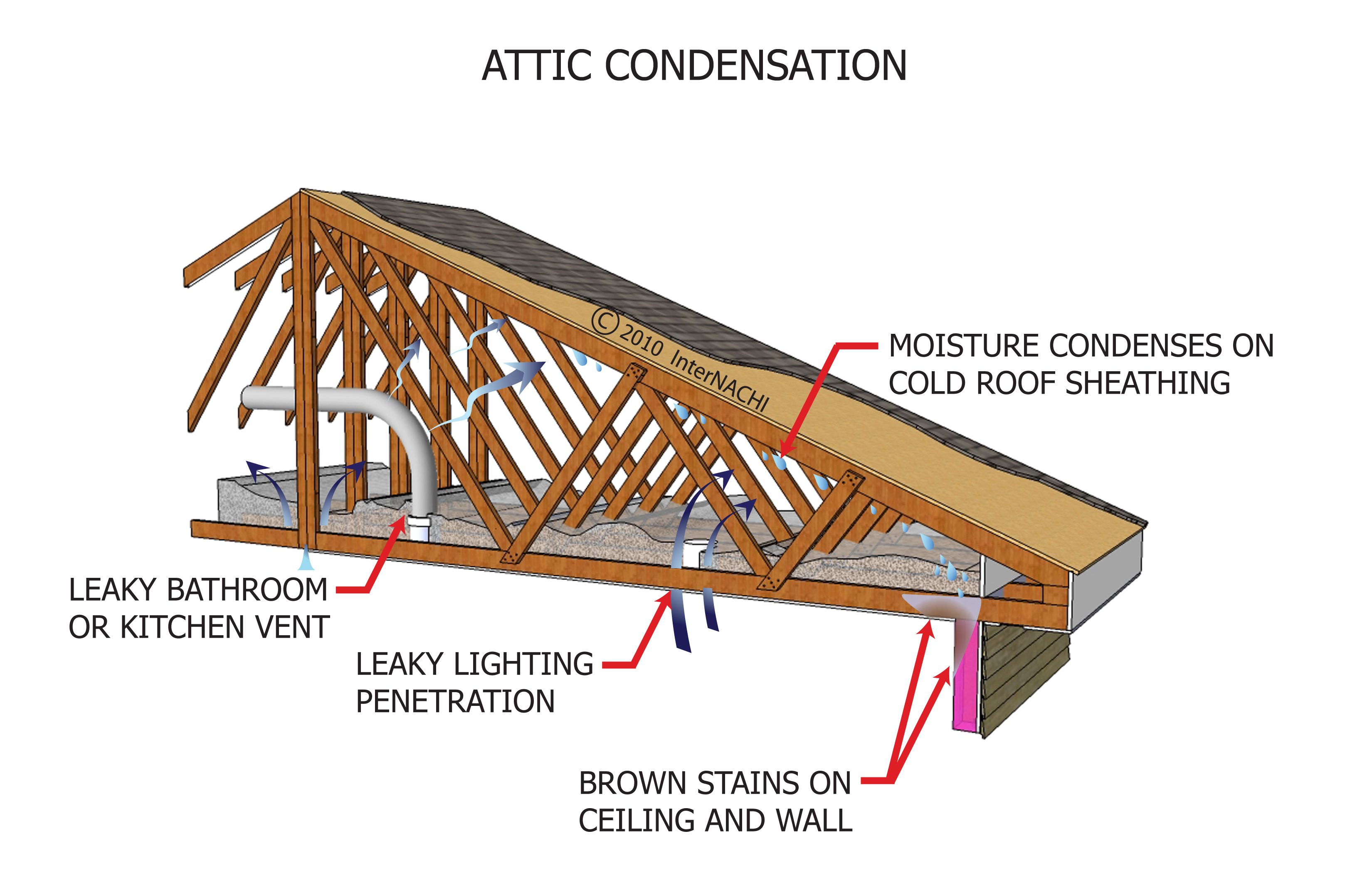 Attic Condensation Inspection Gallery InterNACHI 
