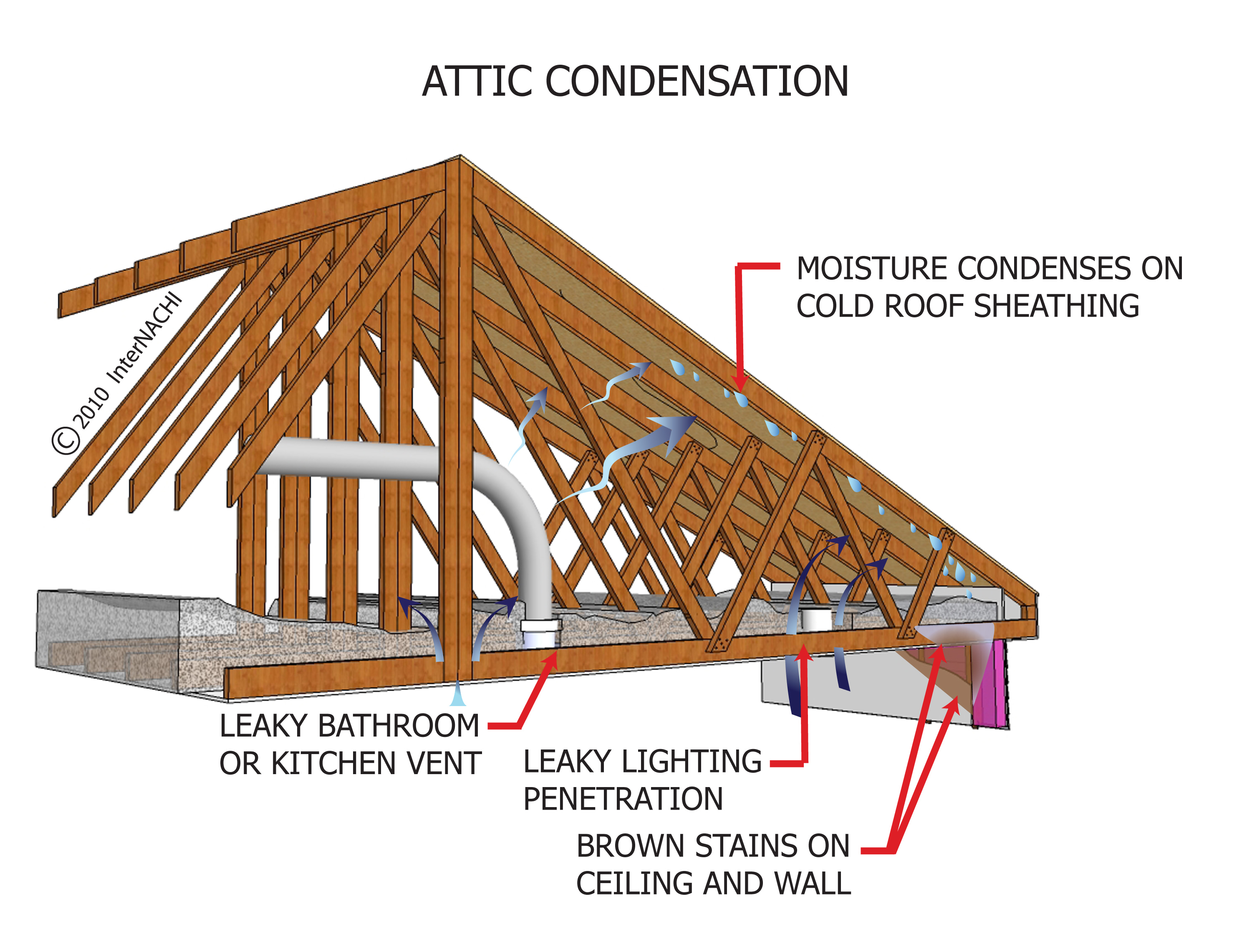 Attic Condensation Inspection Gallery InterNACHI®
