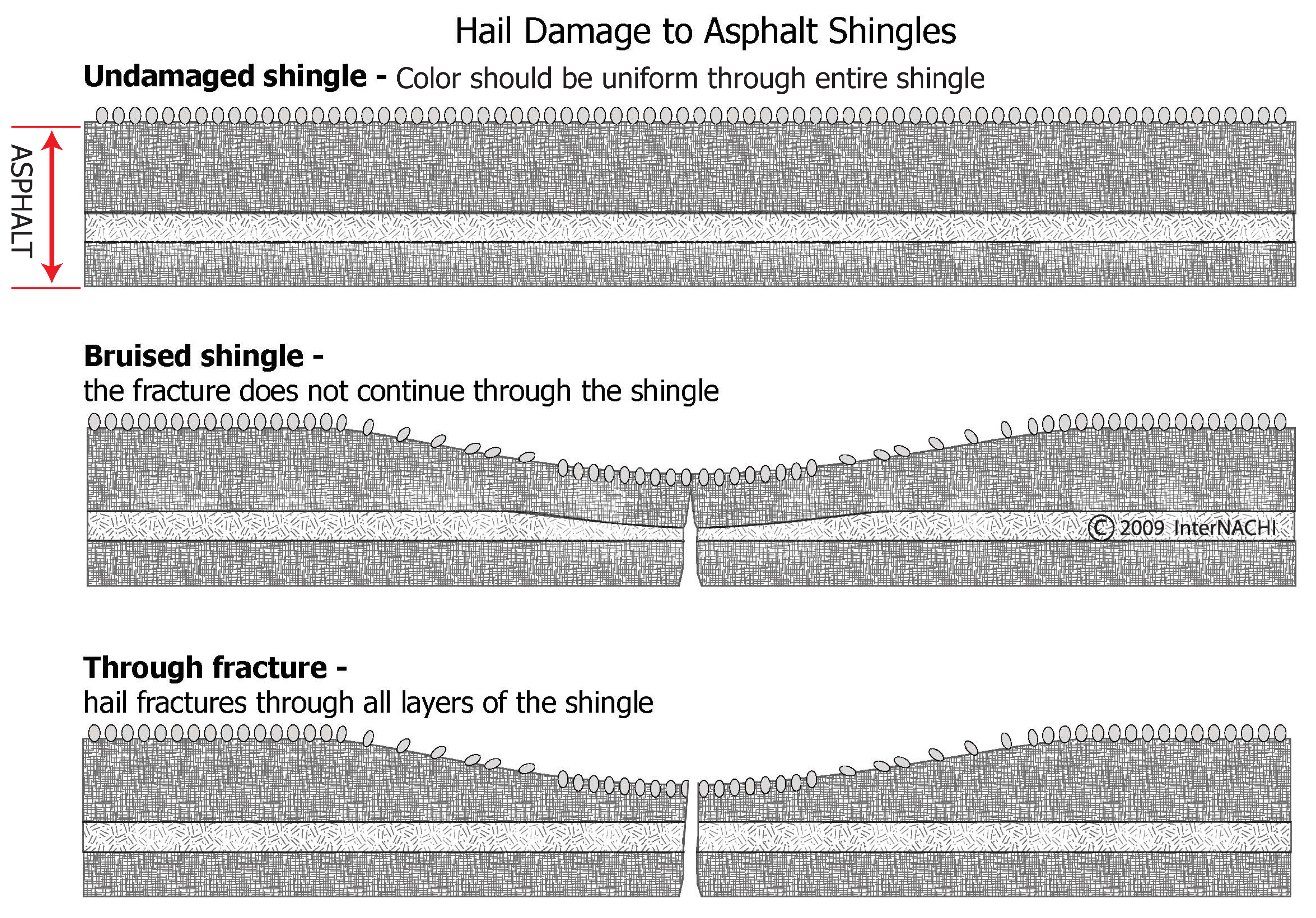 Hail Damage to Asphalt Shingles Inspection Gallery InterNACHI®