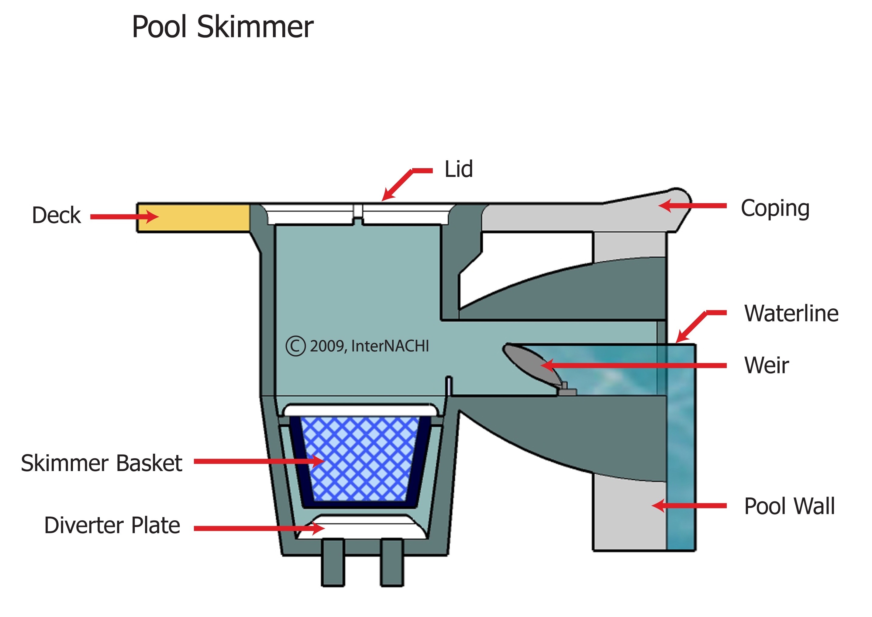 Pool Skimmer Inspection Gallery InterNACHI®