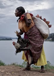 A woman at a riverbank with a bundle of chickens on her back