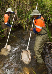 Community members rehabilitate mining areas supported by Base Titanium.