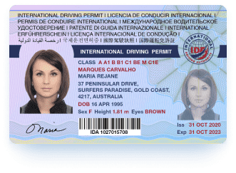 International Driving License