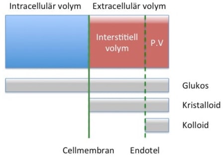 Vätsketerapi hos vuxna – behandlingsöversikt | Internetmedicin