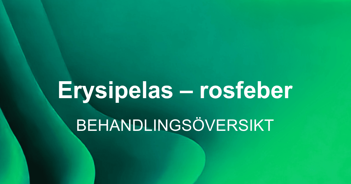 Erysipelas Rosfeber erysipelas-rosfeber