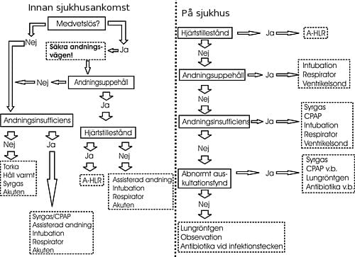 Flödesschema för handläggning av drunkning