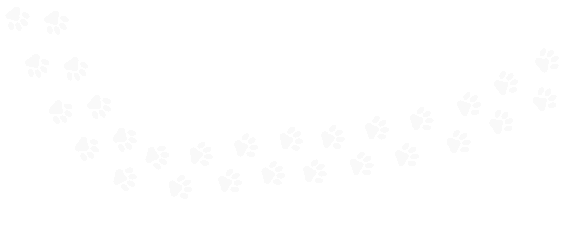 dog print pattern