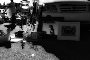flowercop gallery