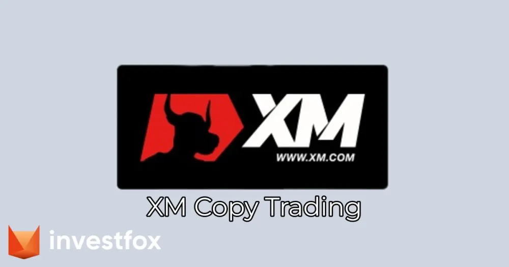 XM copy trading