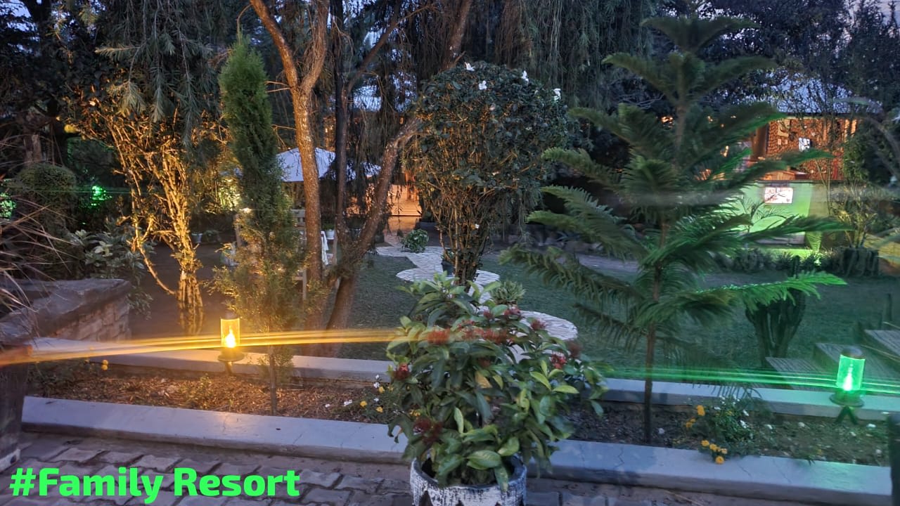 Garden path with small lights beside planted beds at dusk