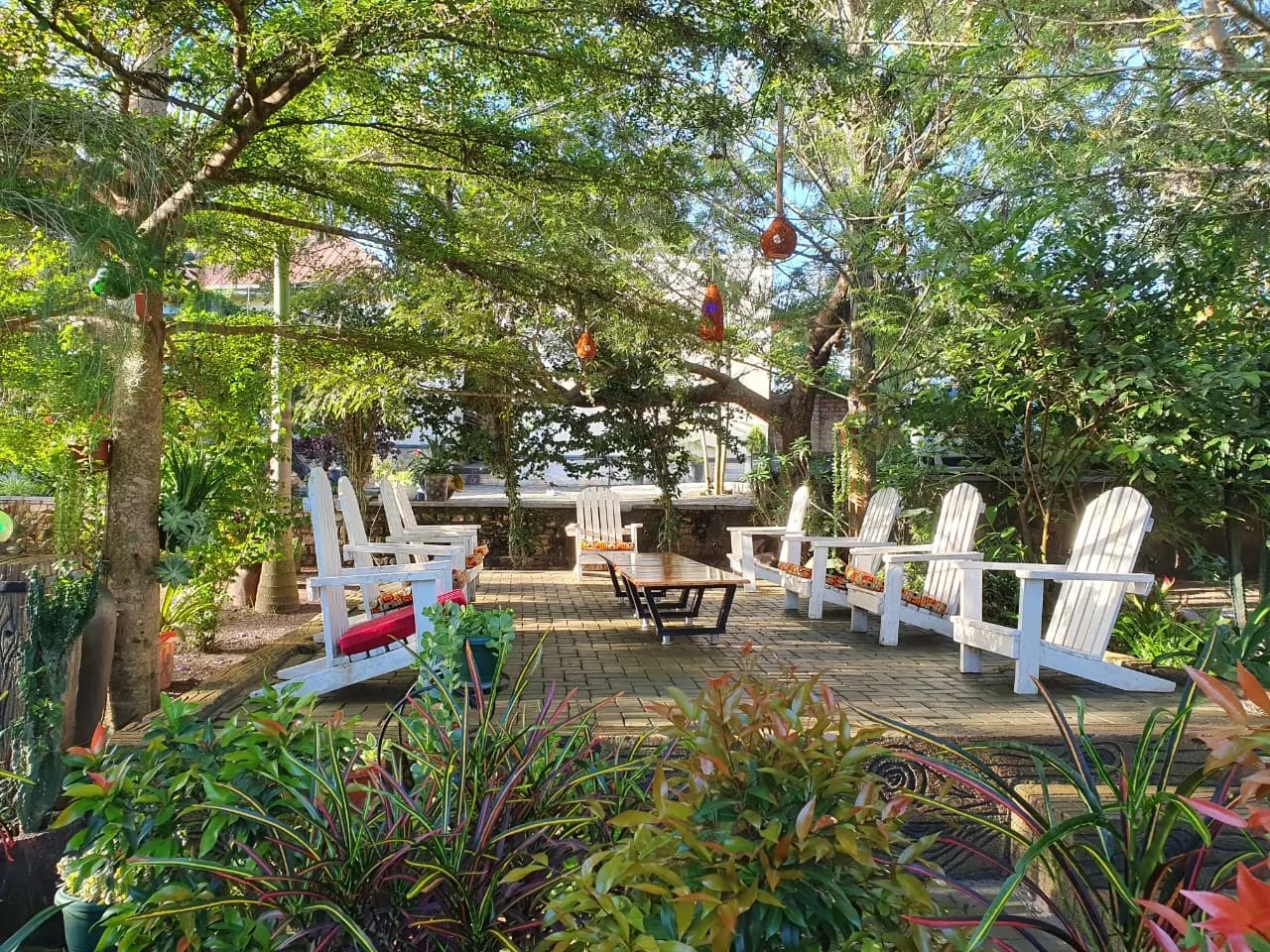 White chairs on a terrace shaded by tall trees in the resort garden