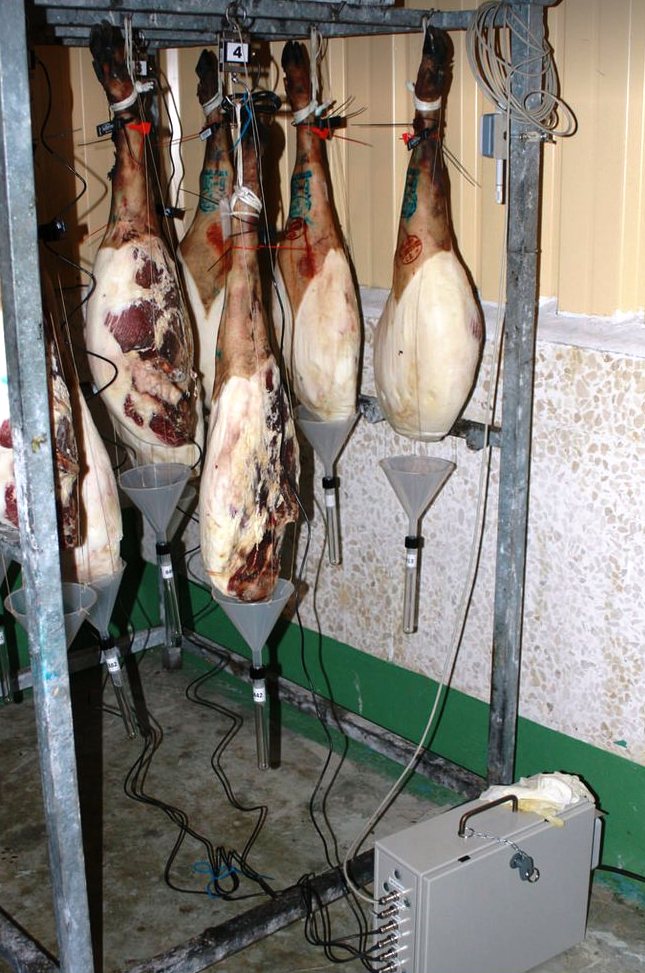 Sistema-de-análisis-de-las-piezas-jamon-Autor-Manuel-Leon-el-Portal-del-Chacinado