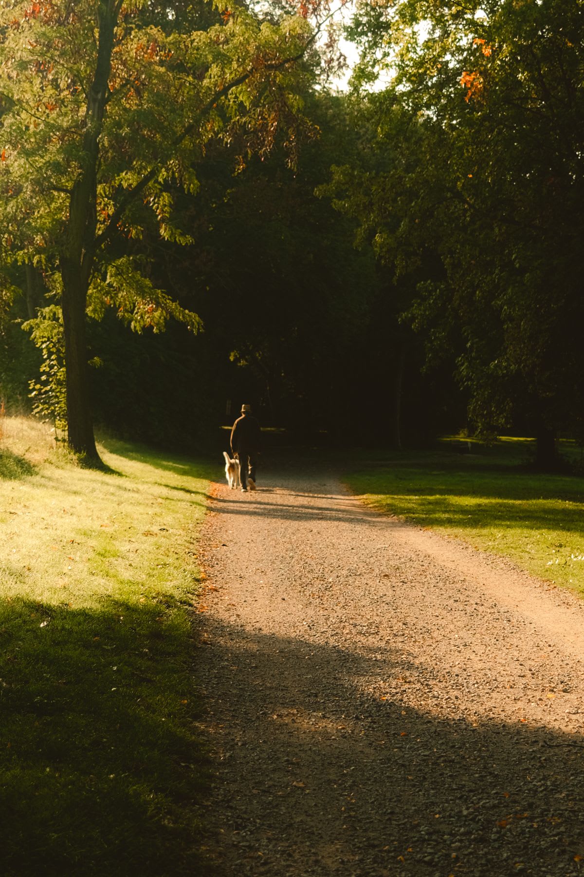 Pessoa caminhando por um trilho de terra em um parque ao entardecer, luz suave entre as árvores