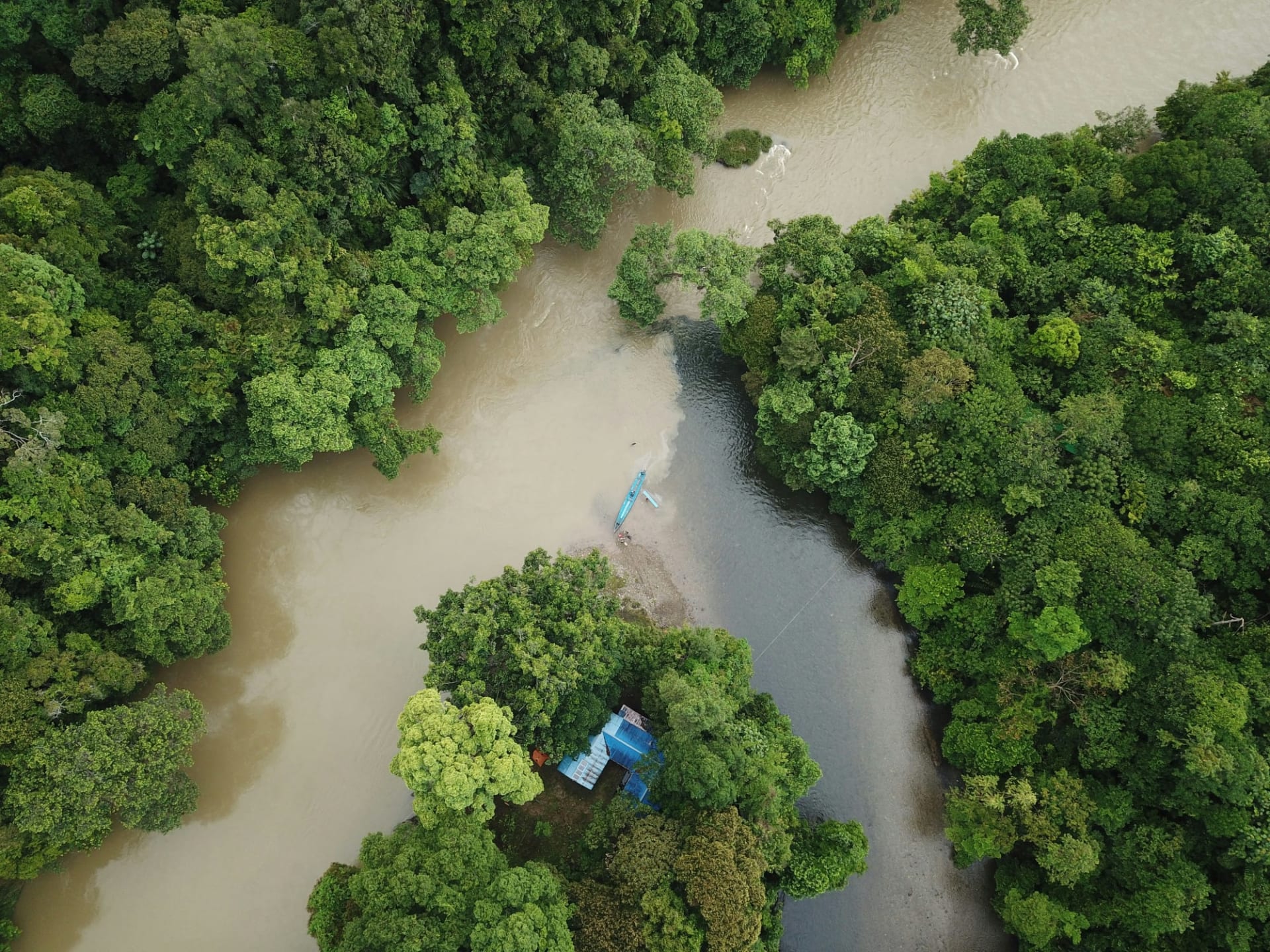 I Took A Night Walking Tour In the Jungles of Borneo & Soaked In The Sound Of Silence